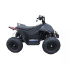 Электроквадроцикл Skyboard CyberTruck Sochi Power 1000W (дифференциальный редуктор)