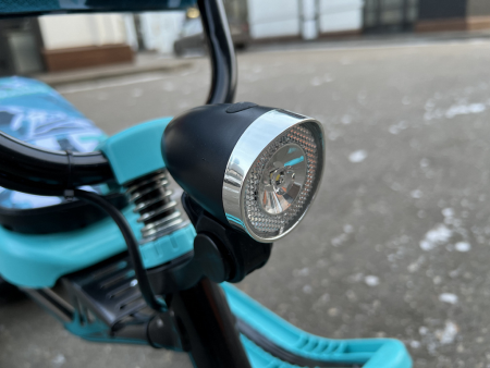 Электроснегокат Elektrosam 60V8AH