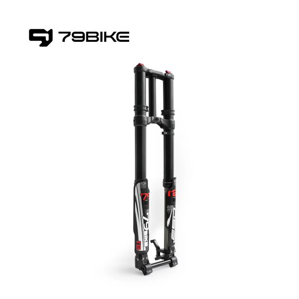 Передняя вилка FORK 79Bike